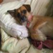 Share Accommodation -  Looking for Share Housing 