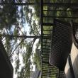 Share Accommodation -  Looking for Sharemate 
